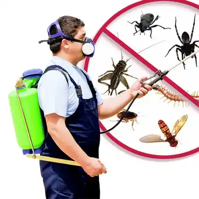 pest control Essex
